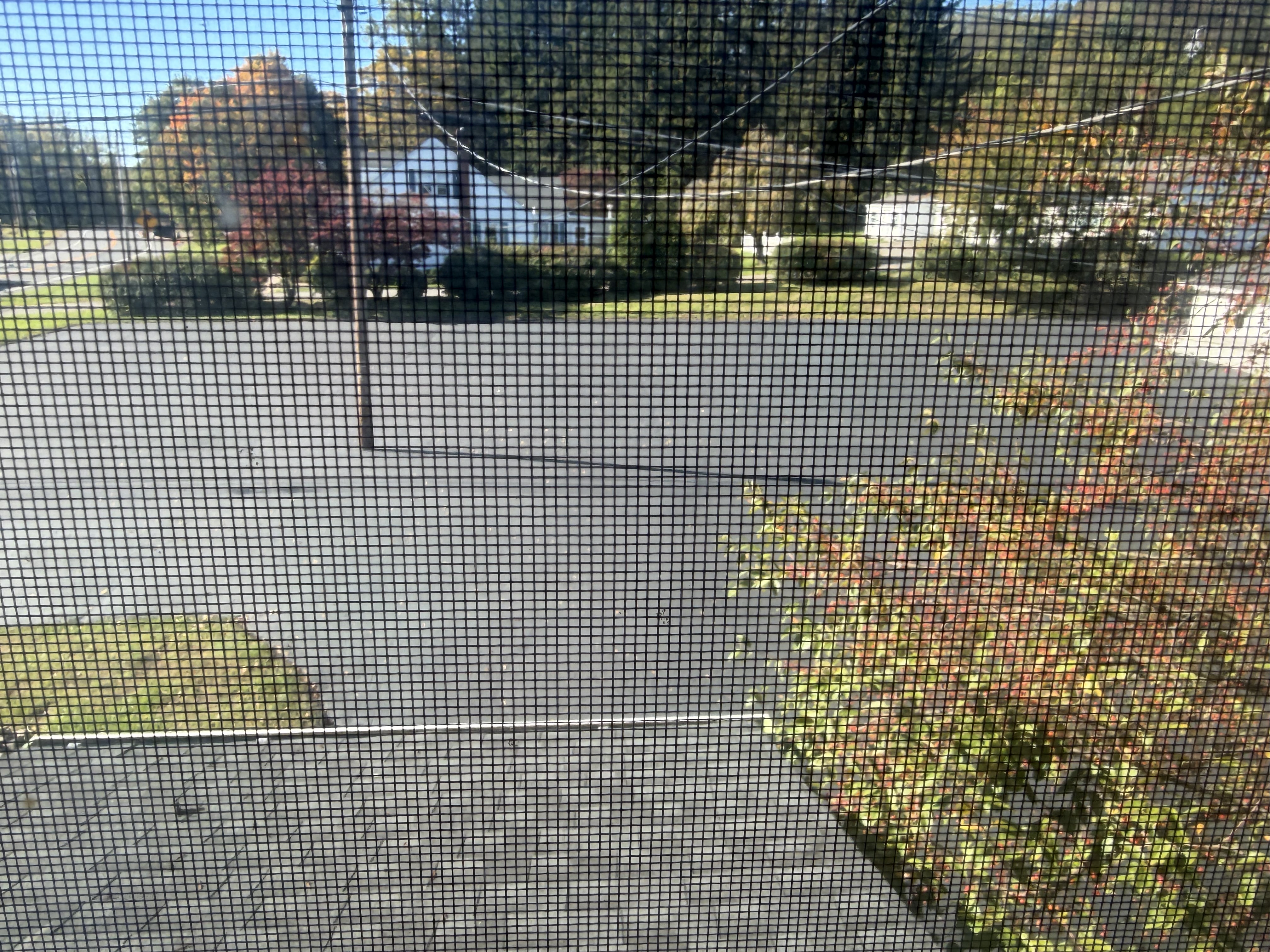 Parking Lot 2026 2